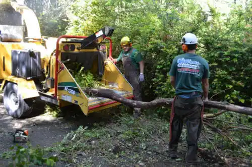 tree services Wekiwa Springs